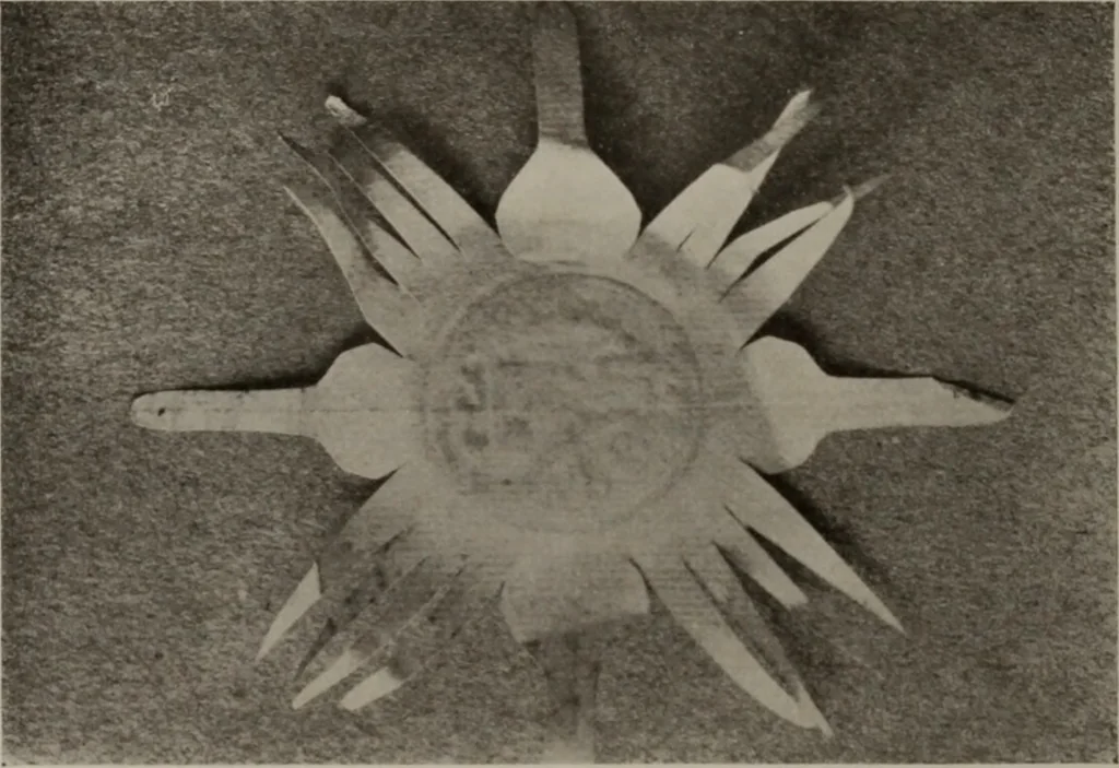 An illustration from The civic ancestry of New York--City and State, 1913, leaf 139