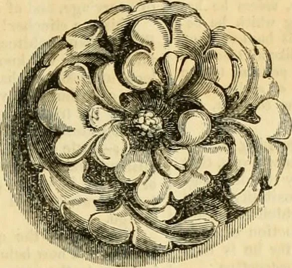 An illustration from The Civil engineer and architect's journal, scientific and railway gazette, 1839, leaf 362