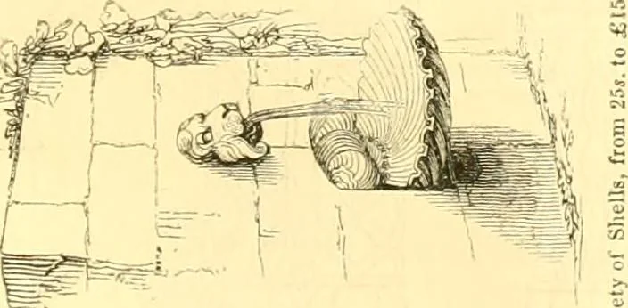 An illustration from The Civil engineer and architect's journal, scientific and railway gazette, 1839, leaf 162