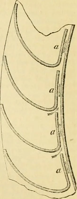 An illustration from The Civil engineer and architect's journal, scientific and railway gazette, 1839, leaf 274