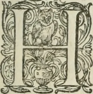 An illustration from Civitas veri sive morvm, 1609, leaf 128