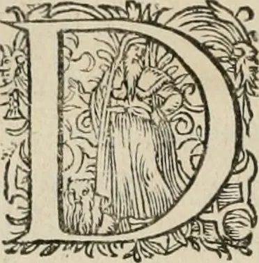 An illustration from Civitas veri sive morvm, 1609, leaf 13