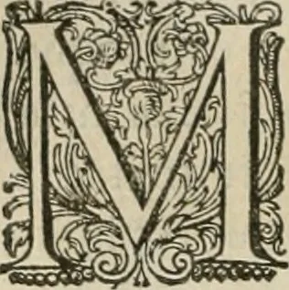 An illustration from Civitas veri sive morvm, 1609, leaf 155