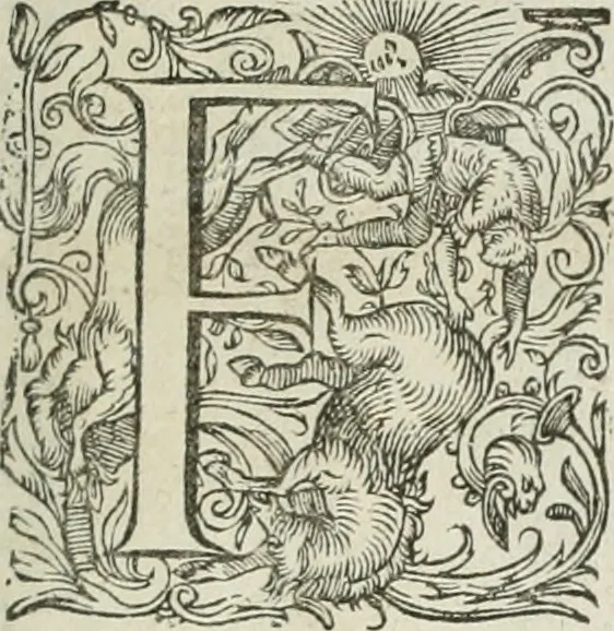 An illustration from Civitas veri sive morvm, 1609, leaf 16