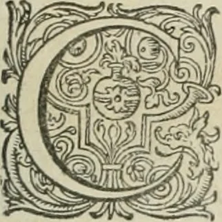 An illustration from Civitas veri sive morvm, 1609, leaf 164