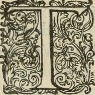 An illustration from Civitas veri sive morvm, 1609, leaf 207