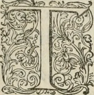 An illustration from Civitas veri sive morvm, 1609, leaf 21