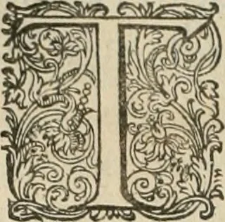 An illustration from Civitas veri sive morvm, 1609, leaf 217