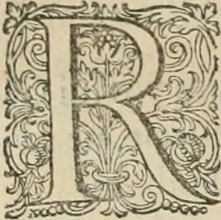 An illustration from Civitas veri sive morvm, 1609, leaf 223