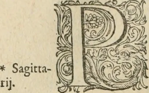 An illustration from Civitas veri sive morvm, 1609, leaf 231