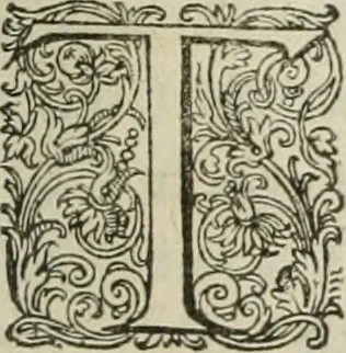 An illustration from Civitas veri sive morvm, 1609, leaf 244