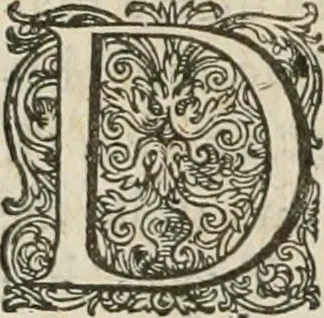 An illustration from Civitas veri sive morvm, 1609, leaf 253