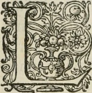 An illustration from Civitas veri sive morvm, 1609, leaf 45