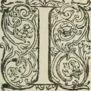 An illustration from Civitas veri sive morvm, 1609, leaf 52