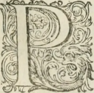An illustration from Civitas veri sive morvm, 1609, leaf 68