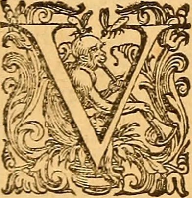 An illustration from C. Ivlii Caesaris, 1575, leaf 101