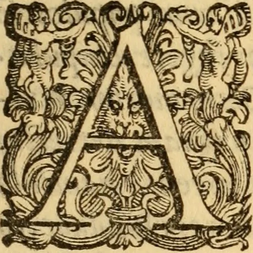 An illustration from C. Ivlii Caesaris, 1575, leaf 226