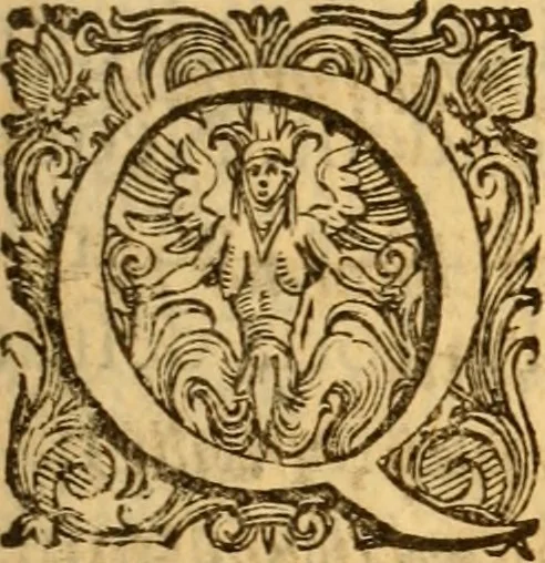 An illustration from C. Ivlii Caesaris, 1575, leaf 24