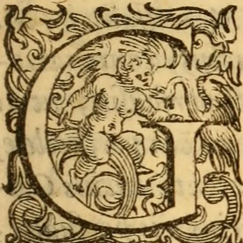An illustration from C. Ivlii Caesaris, 1575, leaf 256