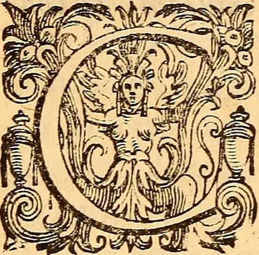 An illustration from C. Ivlii Caesaris, 1575, leaf 297