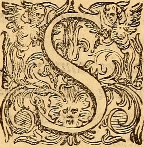 An illustration from C. Ivlii Caesaris, 1575, leaf 41