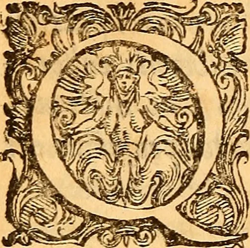 An illustration from C. Ivlii Caesaris, 1575, leaf 429