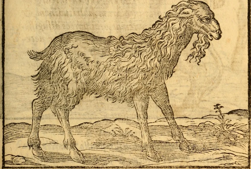 An illustration from C. Ivlii Caesaris, 1575, leaf 48