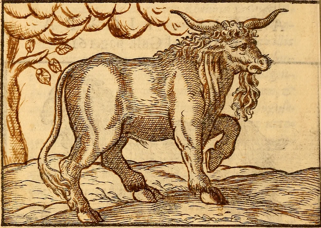 An illustration from C. Ivlii Caesaris, 1575, leaf 49