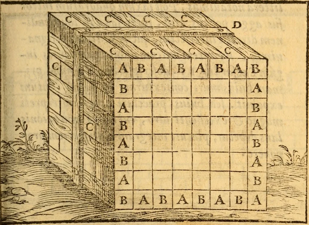 An illustration from C. Ivlii Caesaris, 1575, leaf 50