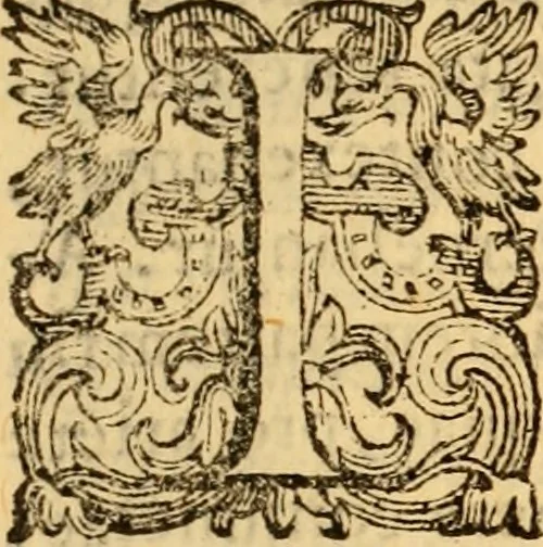 An illustration from C. Ivlii Caesaris, 1575, leaf 62
