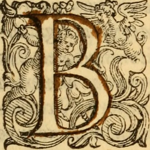 An illustration from C. Ivlii Caesaris, 1575, leaf 698
