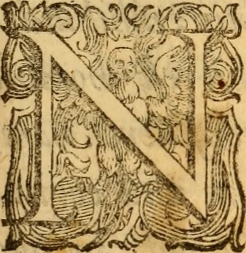 An illustration from C. Ivlii Caesaris, 1575, leaf 8