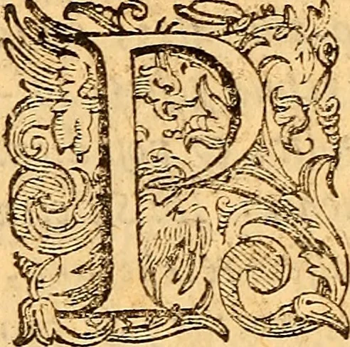 An illustration from C. Ivlii Caesaris, 1575, leaf 821