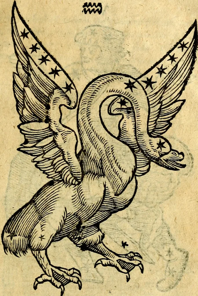 An illustration from C. Ivlii Hygini, Avgvsti liberti, Fabvlarvm liber ... Eivsdem Poeticon astronomicon libri quatuor. Quibus accessererunt similis argumenti, Palæphati De fabulosis narrationibus liber I. F. Fvlgentii Placiadis ... Mythologiarum libri III. Eivsdem De vocum antiquarum interpretatione liber I. Phornvti De natura deorum, siue Poëticarum fabularum allegoriis, speculatio. Albrici ... De deorum imaginibus liber. Arati fragmentum, Germanico Cæsare interprete. Eivsdem Phænomena græcè, cu interpretatione latina. Apollodori Biblioth. siue De decorum origine. Lilii. G. Gyraldi. De musis syntagnia. Index rerum sententiarum, & fabularum ... copiosissimus, 1578, leaf 176