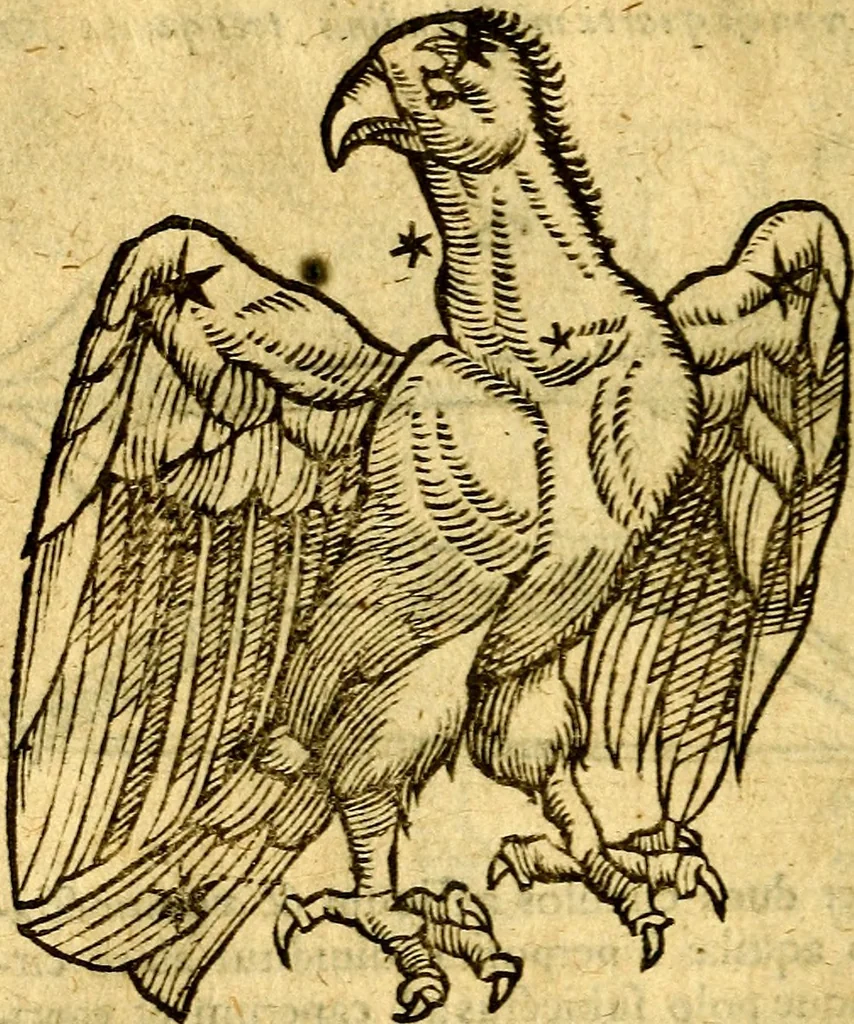 An illustration from C. Ivlii Hygini, Avgvsti liberti, Fabvlarvm liber ... Eivsdem Poeticon astronomicon libri quatuor. Quibus accessererunt similis argumenti, Palæphati De fabulosis narrationibus liber I. F. Fvlgentii Placiadis ... Mythologiarum libri III. Eivsdem De vocum antiquarum interpretatione liber I. Phornvti De natura deorum, siue Poëticarum fabularum allegoriis, speculatio. Albrici ... De deorum imaginibus liber. Arati fragmentum, Germanico Cæsare interprete. Eivsdem Phænomena græcè, cu interpretatione latina. Apollodori Biblioth. siue De decorum origine. Lilii. G. Gyraldi. De musis syntagnia. Index rerum sententiarum, & fabularum ... copiosissimus, 1578, leaf 185