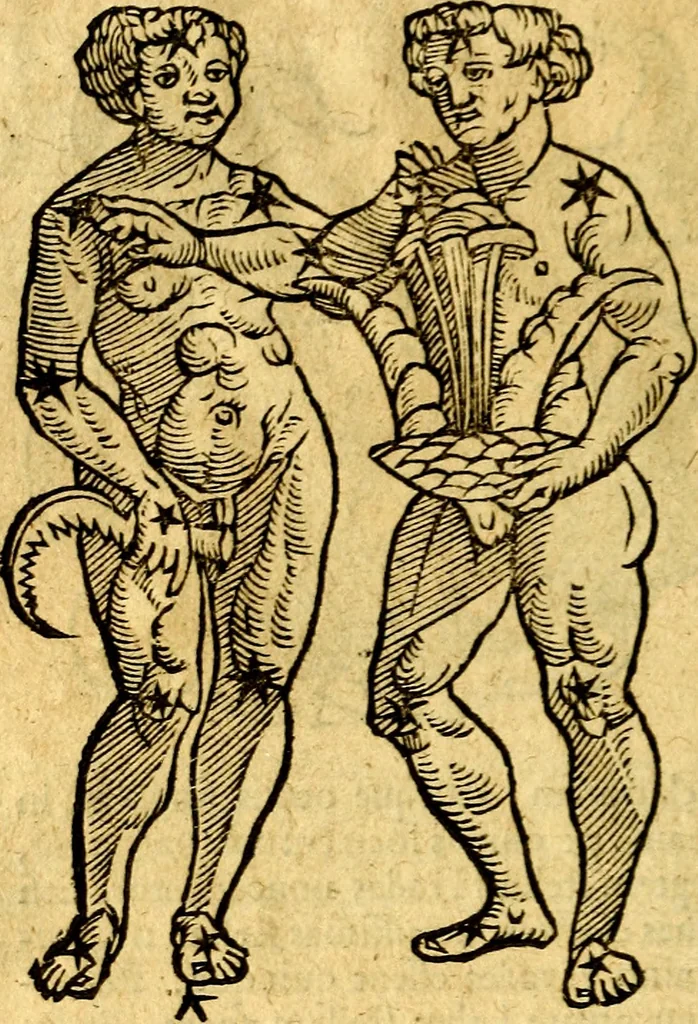 An illustration from C. Ivlii Hygini, Avgvsti liberti, Fabvlarvm liber ... Eivsdem Poeticon astronomicon libri quatuor. Quibus accessererunt similis argumenti, Palæphati De fabulosis narrationibus liber I. F. Fvlgentii Placiadis ... Mythologiarum libri III. Eivsdem De vocum antiquarum interpretatione liber I. Phornvti De natura deorum, siue Poëticarum fabularum allegoriis, speculatio. Albrici ... De deorum imaginibus liber. Arati fragmentum, Germanico Cæsare interprete. Eivsdem Phænomena græcè, cu interpretatione latina. Apollodori Biblioth. siue De decorum origine. Lilii. G. Gyraldi. De musis syntagnia. Index rerum sententiarum, & fabularum ... copiosissimus, 1578, leaf 191
