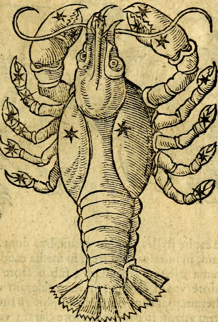 An illustration from C. Ivlii Hygini, Avgvsti liberti, Fabvlarvm liber ... Eivsdem Poeticon astronomicon libri quatuor. Quibus accessererunt similis argumenti, Palæphati De fabulosis narrationibus liber I. F. Fvlgentii Placiadis ... Mythologiarum libri III. Eivsdem De vocum antiquarum interpretatione liber I. Phornvti De natura deorum, siue Poëticarum fabularum allegoriis, speculatio. Albrici ... De deorum imaginibus liber. Arati fragmentum, Germanico Cæsare interprete. Eivsdem Phænomena græcè, cu interpretatione latina. Apollodori Biblioth. siue De decorum origine. Lilii. G. Gyraldi. De musis syntagnia. Index rerum sententiarum, & fabularum ... copiosissimus, 1578, leaf 192
