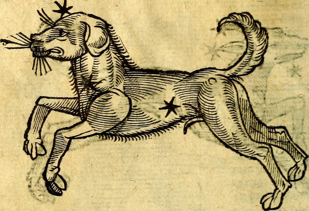 An illustration from C. Ivlii Hygini, Avgvsti liberti, Fabvlarvm liber ... Eivsdem Poeticon astronomicon libri quatuor. Quibus accessererunt similis argumenti, Palæphati De fabulosis narrationibus liber I. F. Fvlgentii Placiadis ... Mythologiarum libri III. Eivsdem De vocum antiquarum interpretatione liber I. Phornvti De natura deorum, siue Poëticarum fabularum allegoriis, speculatio. Albrici ... De deorum imaginibus liber. Arati fragmentum, Germanico Cæsare interprete. Eivsdem Phænomena græcè, cu interpretatione latina. Apollodori Biblioth. siue De decorum origine. Lilii. G. Gyraldi. De musis syntagnia. Index rerum sententiarum, & fabularum ... copiosissimus, 1578, leaf 203