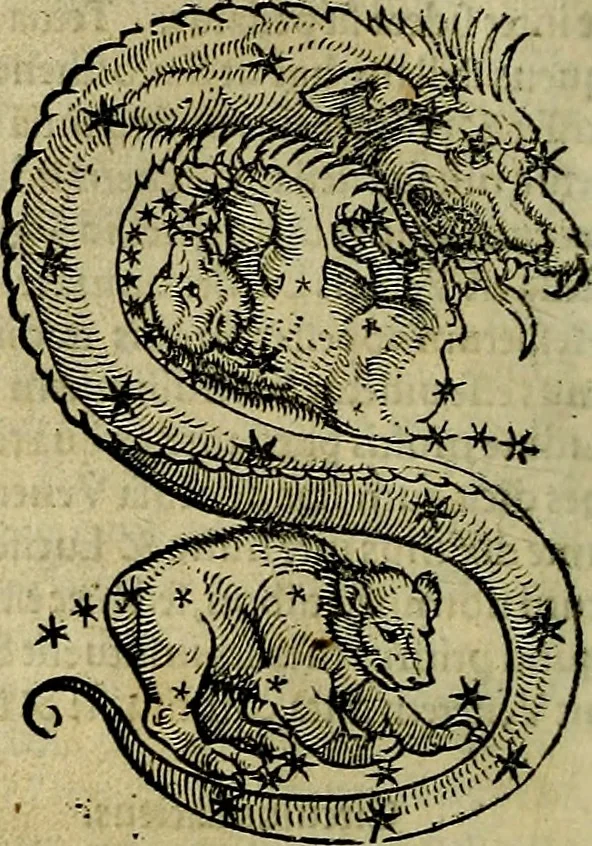An illustration from C. Ivlii Hygini, Avgvsti liberti, Fabvlarvm liber ... antehac nunquam excusus. Evisdem Poeticon astronomicon libri quatuor. Quibus accesserunt similis agrumenti, Palaephati De fabulosis narrationibus, liber I. F. Fvlgentii Placiadis ... Mythologiarum libri III. Eivsdem De uocum antiquarum interpretatione, liber I. Arati Phainomenon fragmentum, Germanico Caesare interprete. Eivsdem Phaenomena Graece, cum interpretatione latina Procli De sphaera libellus, Graece & Latine. Index rerum & fabularum .., 1535, leaf 115