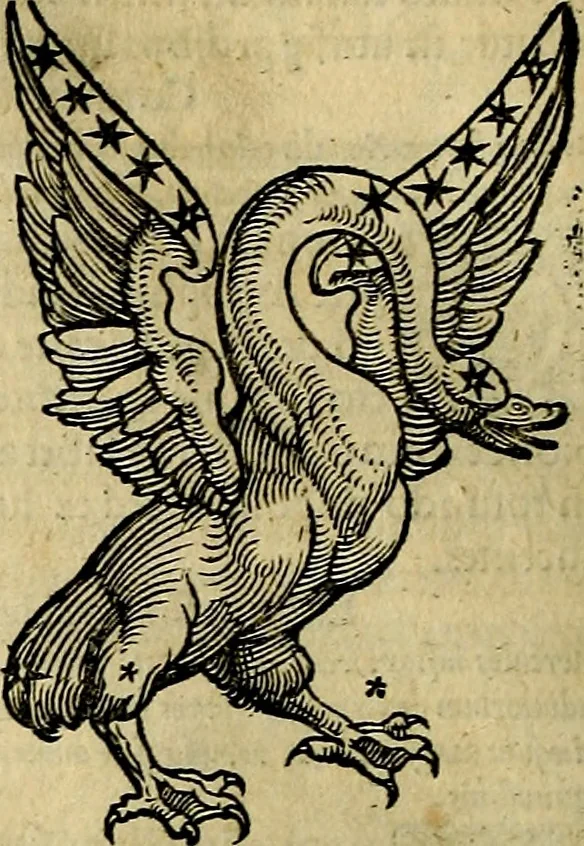 An illustration from C. Ivlii Hygini, Avgvsti liberti, Fabvlarvm liber ... antehac nunquam excusus. Evisdem Poeticon astronomicon libri quatuor. Quibus accesserunt similis agrumenti, Palaephati De fabulosis narrationibus, liber I. F. Fvlgentii Placiadis ... Mythologiarum libri III. Eivsdem De uocum antiquarum interpretatione, liber I. Arati Phainomenon fragmentum, Germanico Caesare interprete. Eivsdem Phaenomena Graece, cum interpretatione latina Procli De sphaera libellus, Graece & Latine. Index rerum & fabularum .., 1535, leaf 117