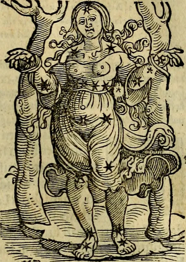 An illustration from C. Ivlii Hygini, Avgvsti liberti, Fabvlarvm liber ... antehac nunquam excusus. Evisdem Poeticon astronomicon libri quatuor. Quibus accesserunt similis agrumenti, Palaephati De fabulosis narrationibus, liber I. F. Fvlgentii Placiadis ... Mythologiarum libri III. Eivsdem De uocum antiquarum interpretatione, liber I. Arati Phainomenon fragmentum, Germanico Caesare interprete. Eivsdem Phaenomena Graece, cum interpretatione latina Procli De sphaera libellus, Graece & Latine. Index rerum & fabularum .., 1535, leaf 118