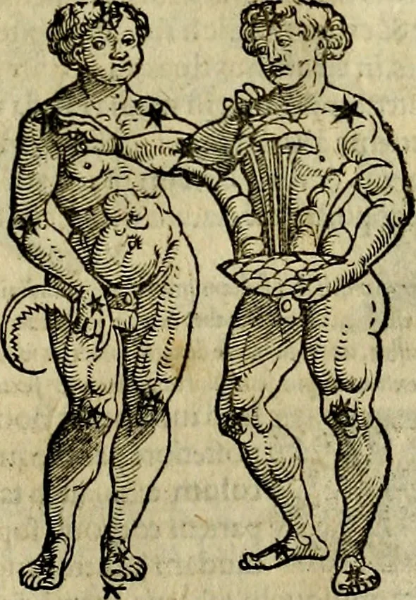 An illustration from C. Ivlii Hygini, Avgvsti liberti, Fabvlarvm liber ... antehac nunquam excusus. Evisdem Poeticon astronomicon libri quatuor. Quibus accesserunt similis agrumenti, Palaephati De fabulosis narrationibus, liber I. F. Fvlgentii Placiadis ... Mythologiarum libri III. Eivsdem De uocum antiquarum interpretatione, liber I. Arati Phainomenon fragmentum, Germanico Caesare interprete. Eivsdem Phaenomena Graece, cum interpretatione latina Procli De sphaera libellus, Graece & Latine. Index rerum & fabularum .., 1535, leaf 122