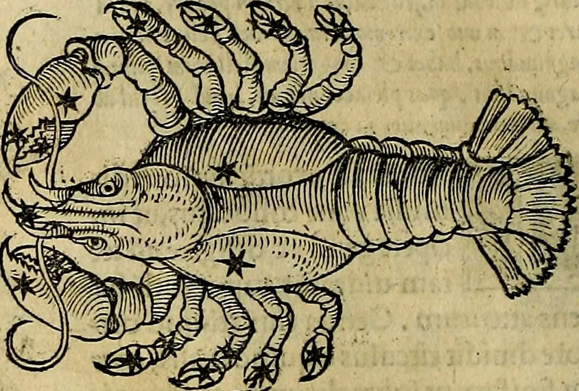 An illustration from C. Ivlii Hygini, Avgvsti liberti, Fabvlarvm liber ... antehac nunquam excusus. Evisdem Poeticon astronomicon libri quatuor. Quibus accesserunt similis agrumenti, Palaephati De fabulosis narrationibus, liber I. F. Fvlgentii Placiadis ... Mythologiarum libri III. Eivsdem De uocum antiquarum interpretatione, liber I. Arati Phainomenon fragmentum, Germanico Caesare interprete. Eivsdem Phaenomena Graece, cum interpretatione latina Procli De sphaera libellus, Graece & Latine. Index rerum & fabularum .., 1535, leaf 123