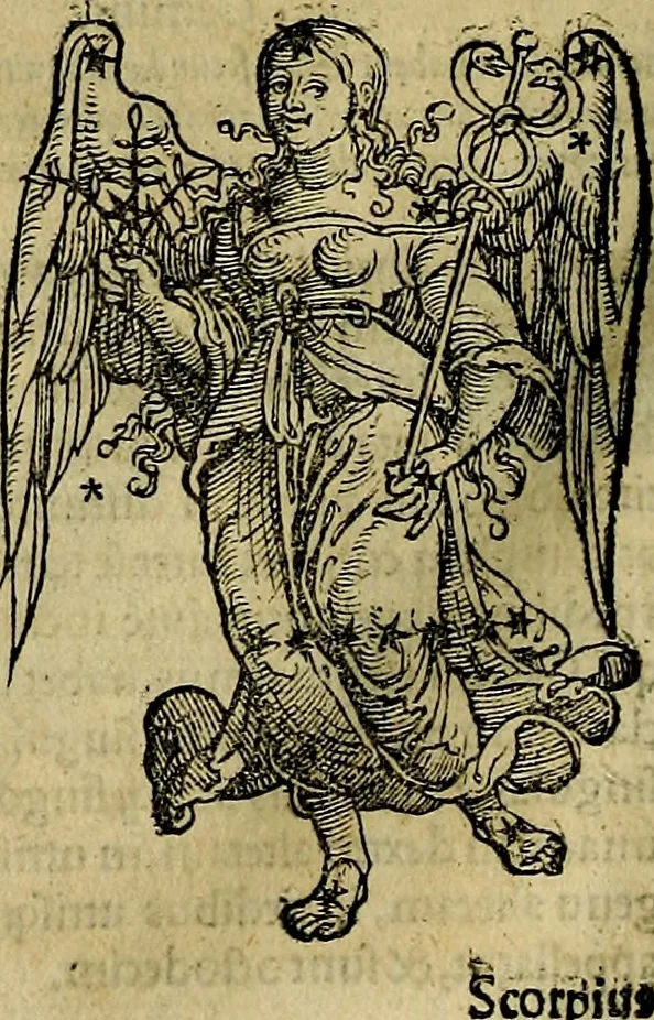An illustration from C. Ivlii Hygini, Avgvsti liberti, Fabvlarvm liber ... antehac nunquam excusus. Evisdem Poeticon astronomicon libri quatuor. Quibus accesserunt similis agrumenti, Palaephati De fabulosis narrationibus, liber I. F. Fvlgentii Placiadis ... Mythologiarum libri III. Eivsdem De uocum antiquarum interpretatione, liber I. Arati Phainomenon fragmentum, Germanico Caesare interprete. Eivsdem Phaenomena Graece, cum interpretatione latina Procli De sphaera libellus, Graece & Latine. Index rerum & fabularum .., 1535, leaf 123