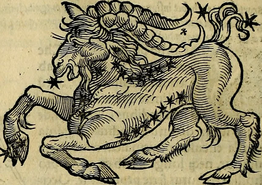 An illustration from C. Ivlii Hygini, Avgvsti liberti, Fabvlarvm liber ... antehac nunquam excusus. Evisdem Poeticon astronomicon libri quatuor. Quibus accesserunt similis agrumenti, Palaephati De fabulosis narrationibus, liber I. F. Fvlgentii Placiadis ... Mythologiarum libri III. Eivsdem De uocum antiquarum interpretatione, liber I. Arati Phainomenon fragmentum, Germanico Caesare interprete. Eivsdem Phaenomena Graece, cum interpretatione latina Procli De sphaera libellus, Graece & Latine. Index rerum & fabularum .., 1535, leaf 125