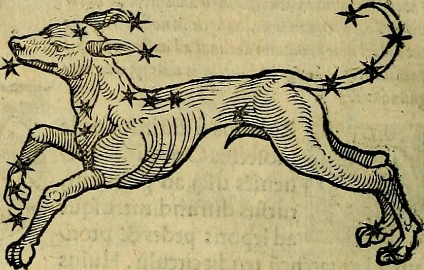 An illustration from C. Ivlii Hygini, Avgvsti liberti, Fabvlarvm liber ... antehac nunquam excusus. Evisdem Poeticon astronomicon libri quatuor. Quibus accesserunt similis agrumenti, Palaephati De fabulosis narrationibus, liber I. F. Fvlgentii Placiadis ... Mythologiarum libri III. Eivsdem De uocum antiquarum interpretatione, liber I. Arati Phainomenon fragmentum, Germanico Caesare interprete. Eivsdem Phaenomena Graece, cum interpretatione latina Procli De sphaera libellus, Graece & Latine. Index rerum & fabularum .., 1535, leaf 127