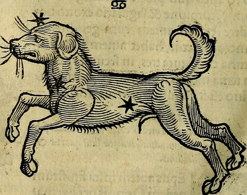 An illustration from C. Ivlii Hygini, Avgvsti liberti, Fabvlarvm liber ... antehac nunquam excusus. Evisdem Poeticon astronomicon libri quatuor. Quibus accesserunt similis agrumenti, Palaephati De fabulosis narrationibus, liber I. F. Fvlgentii Placiadis ... Mythologiarum libri III. Eivsdem De uocum antiquarum interpretatione, liber I. Arati Phainomenon fragmentum, Germanico Caesare interprete. Eivsdem Phaenomena Graece, cum interpretatione latina Procli De sphaera libellus, Graece & Latine. Index rerum & fabularum .., 1535, leaf 127