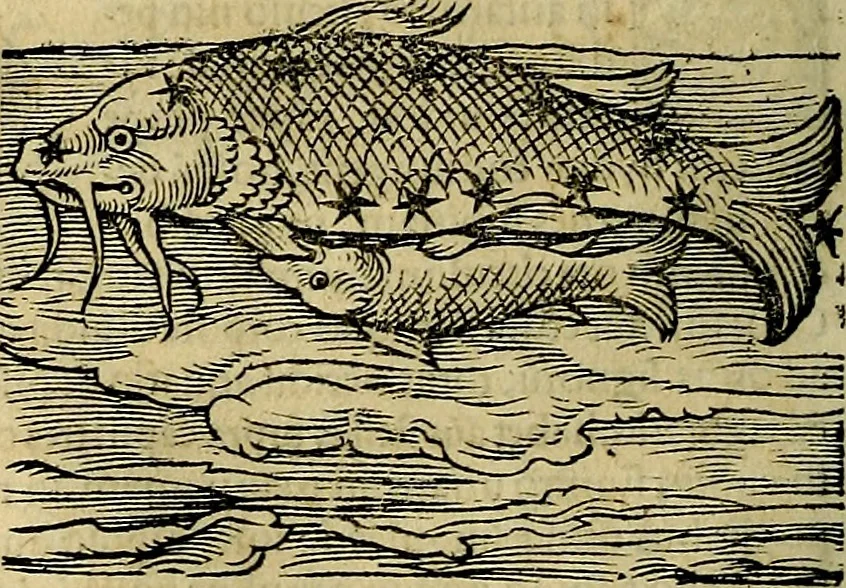 An illustration from C. Ivlii Hygini, Avgvsti liberti, Fabvlarvm liber ... antehac nunquam excusus. Evisdem Poeticon astronomicon libri quatuor. Quibus accesserunt similis agrumenti, Palaephati De fabulosis narrationibus, liber I. F. Fvlgentii Placiadis ... Mythologiarum libri III. Eivsdem De uocum antiquarum interpretatione, liber I. Arati Phainomenon fragmentum, Germanico Caesare interprete. Eivsdem Phaenomena Graece, cum interpretatione latina Procli De sphaera libellus, Graece & Latine. Index rerum & fabularum .., 1535, leaf 129