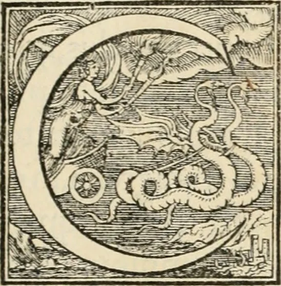 An illustration from C. Ivlivs Caesar, sive, Historiae imperatorvm Caesarvmqve romanorvm ex antiqvis nvmismatibvs restitvtae liber primvs : acessit C. Ivlii Caesaris vita et res gestae, 1563, leaf 24