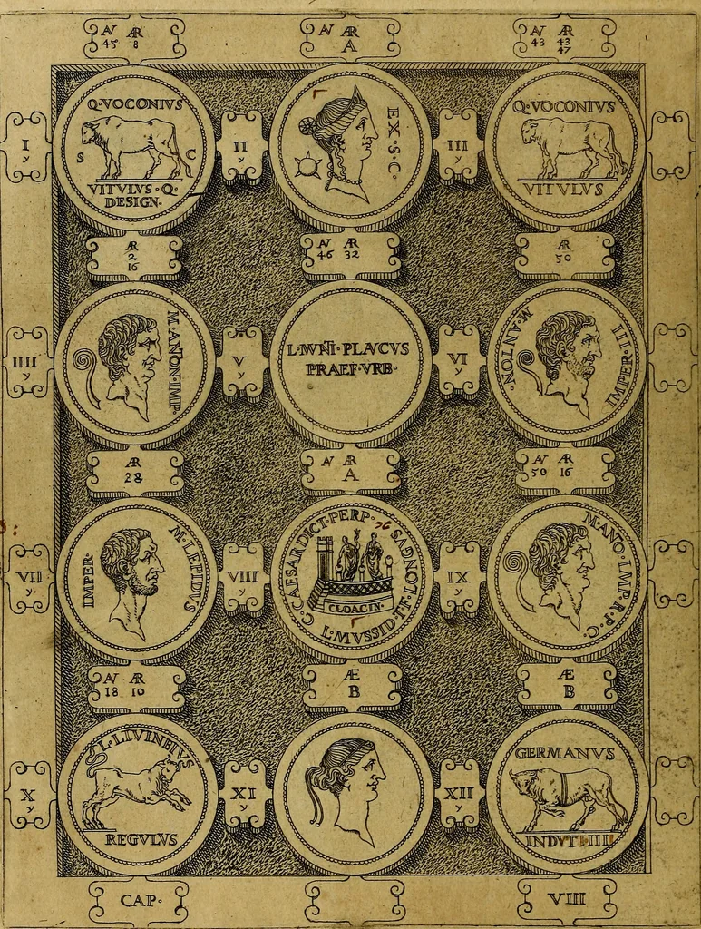 An illustration from C. Ivlivs Caesar : sive Historiae imperatorvm Caesarvmqve romanorvm ex antiqvis nvmismatibvs restitvtae liber primvs; accessit C. Ivlii Caesaris vita et res gestae, 1563, leaf 49